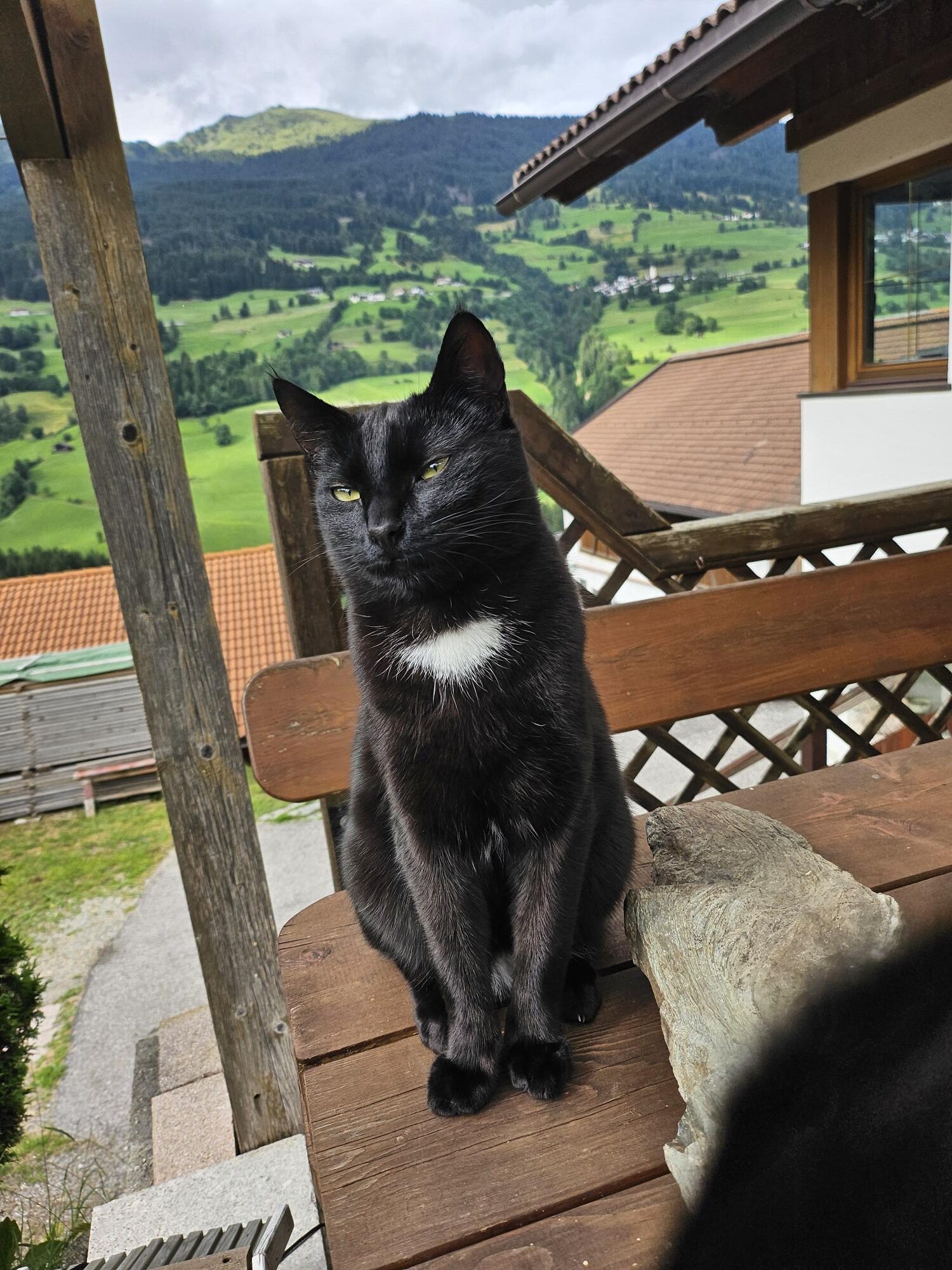 Tierheim Obervintl